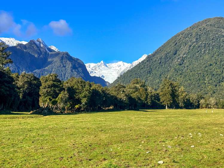 288 State Highway 6 Fox Glacier_12