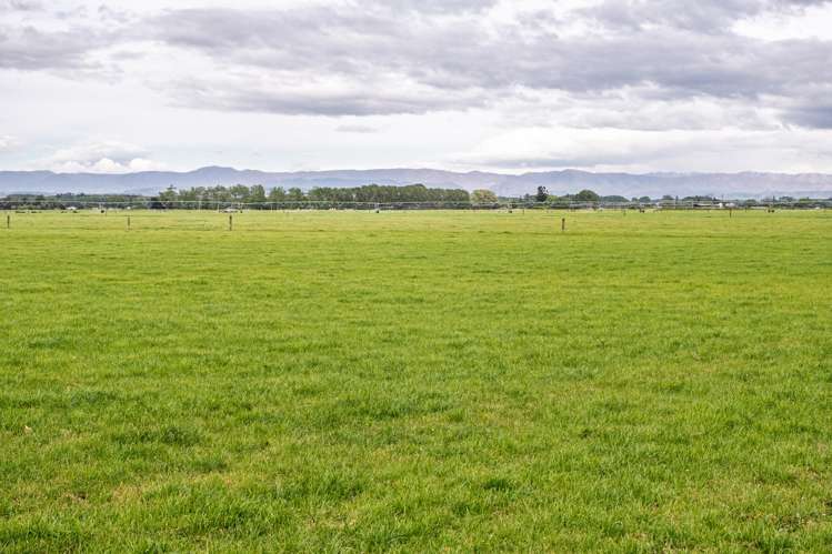 52 White Road Milford_3