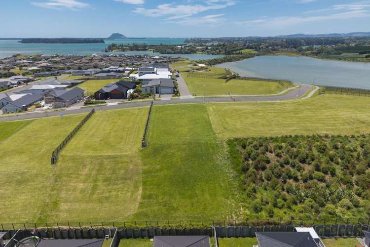 10 Kuaka Rise Omokoroa_20