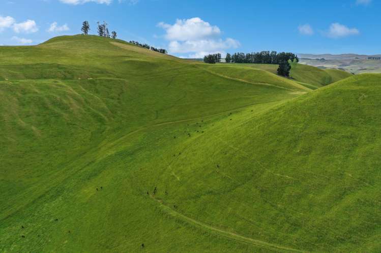 70 Finlay's Road Windsor_5