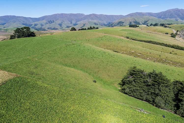 61 Howells Road Maungati_16