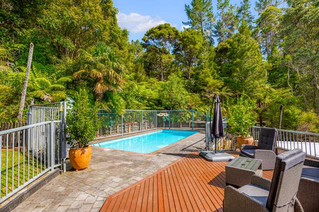 85 Haigh Access Road Redvale_4