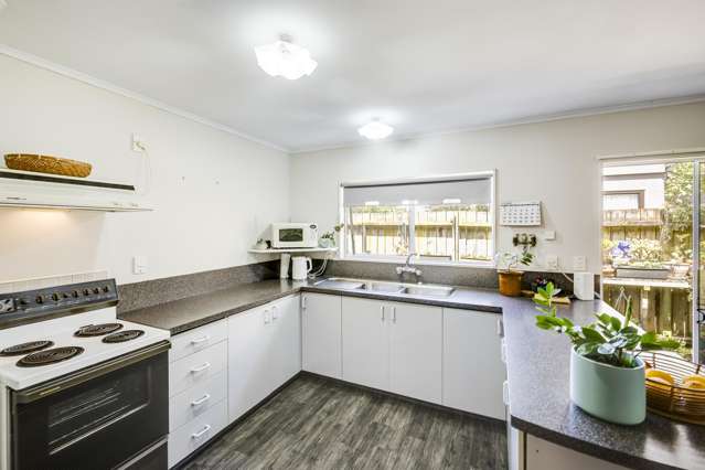 173 Avondale Road Greenmeadows_1