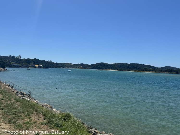 Lot 3 Waiotoi Road Ngunguru_19