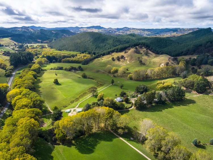 3160 Masterton Castlepoint Road Mangapakeha_24