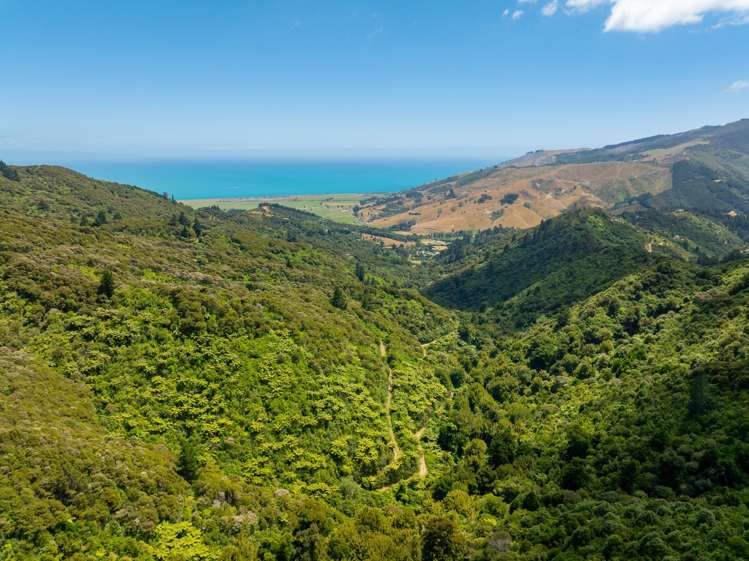 185 Kanuka Rise Wakapuaka_27