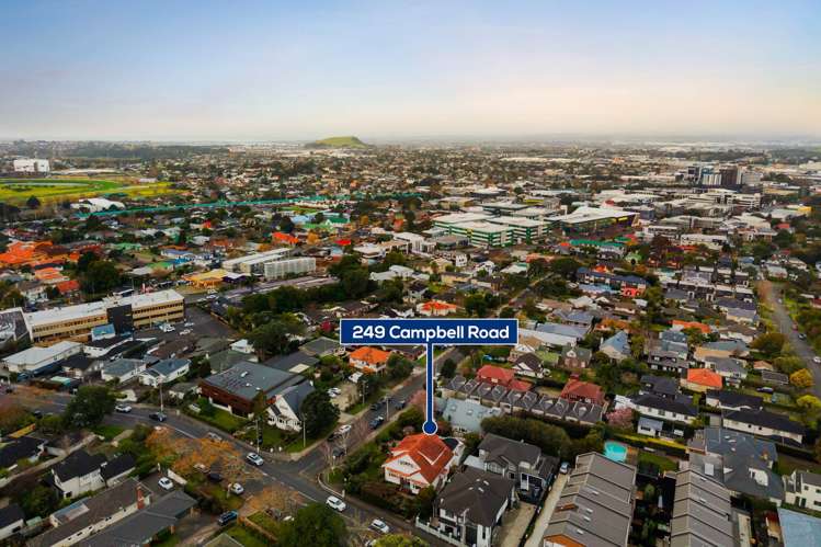 249 Campbell Road Greenlane_42