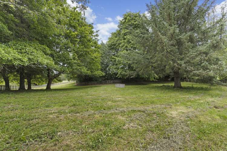 127A Otonga Valley Road Raglan_22