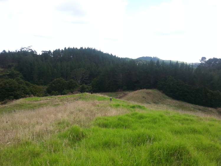 2568a Paparoa-Oakleigh Road Paparoa_12