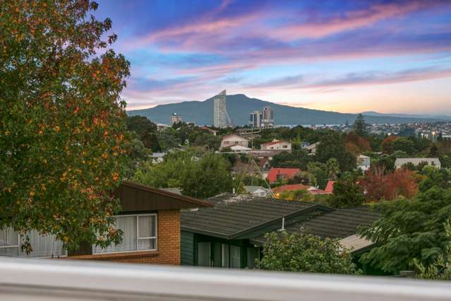 67 Coronation Road Hillcrest_2