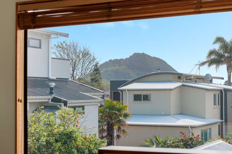 18b Terrace Avenue Mount Maunganui_13