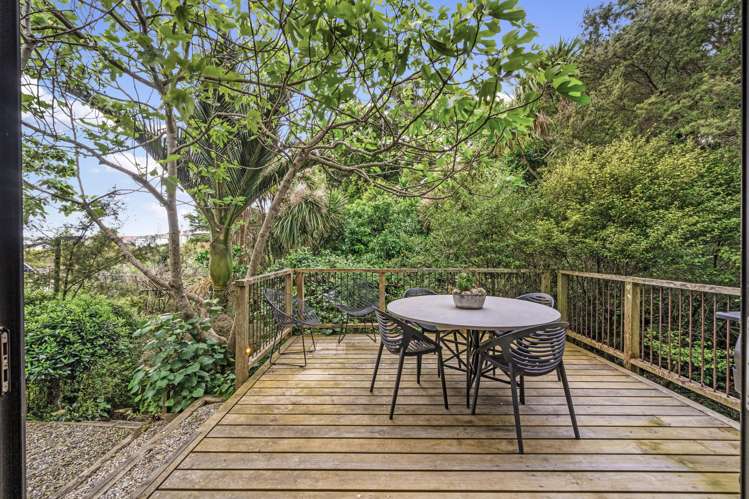 11a Wiles Avenue Remuera_12