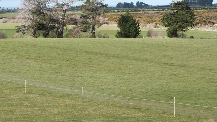 941 Riverton Wallacetown Highway Southland_7