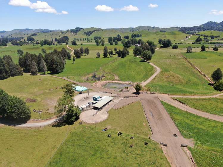 967 Ohura Road Aria_6