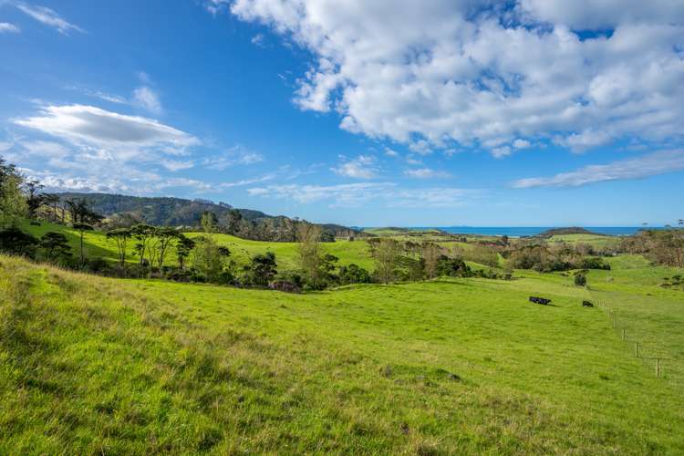 196b Ocean Beach Road Whangarei Heads_11