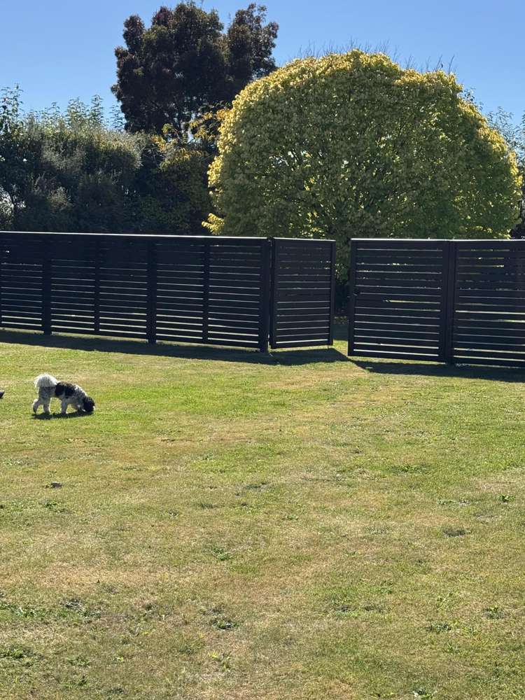 155 Goulds Road Springston_21