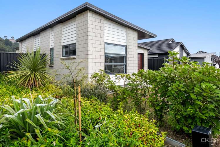 6 Pattullo Crescent Wallaceville_18