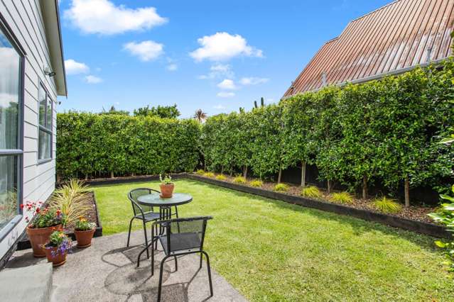 51b Canal Road Avondale_4