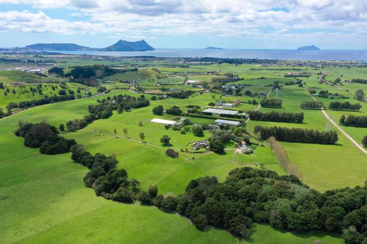 145A Port Marsden Highway Ruakaka_41