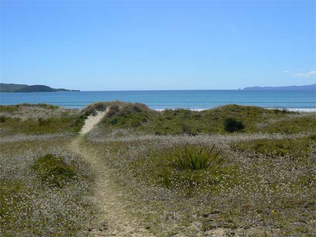 284 Tokerau Beach Road Karikari Peninsula_4