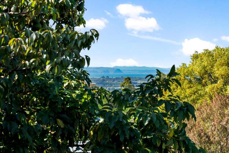 27 Hikanui Drive Havelock North_3