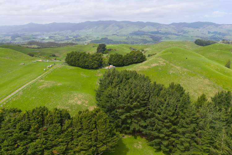 137 Zigzag Road Pohangina Valley_16