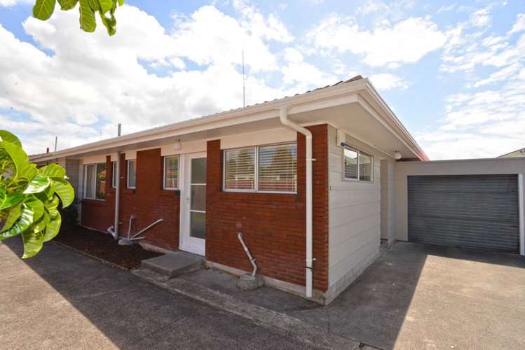 2/10 Rata Street New Lynn_10