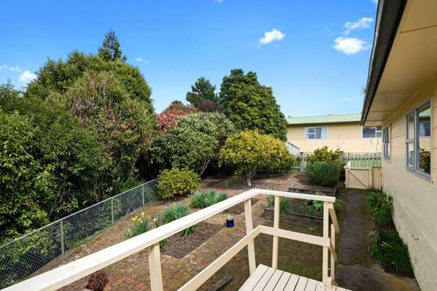 7 Hutson Street Toi Toi_2