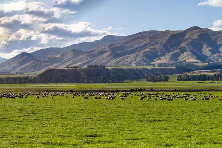 Lot 3, Northview Terraces Luggate_9