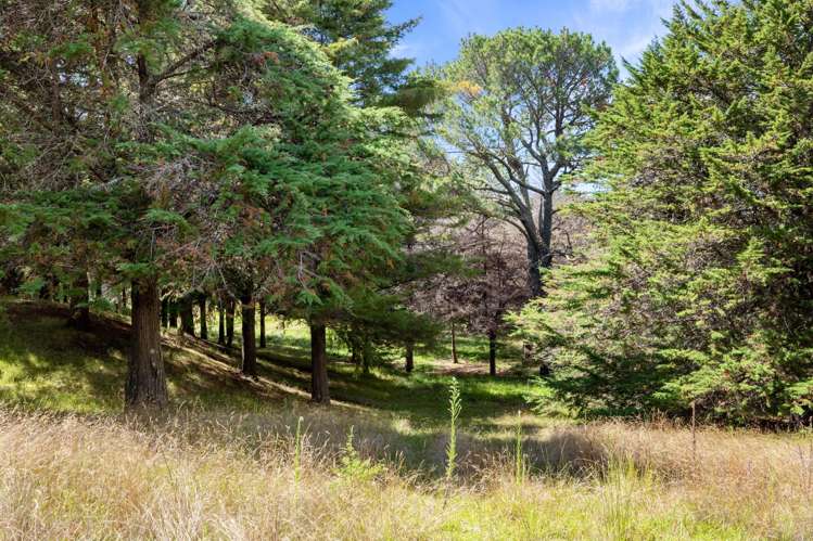 347a Black Swamp Road Mangawhai_28