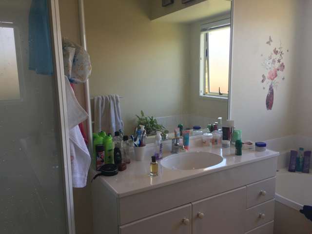 69a Vincent Street Howick_3