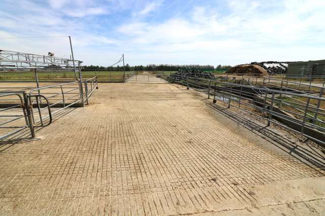 520 Island Edendale Road Menzies Ferry_4