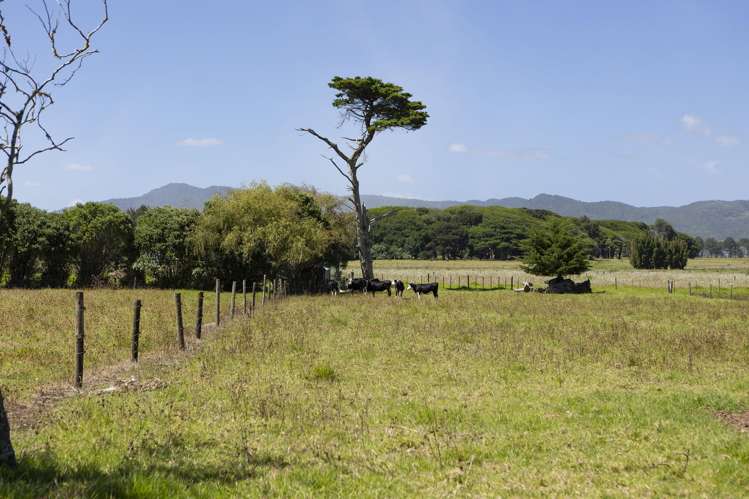 810 Gill Road Kaitaia_35