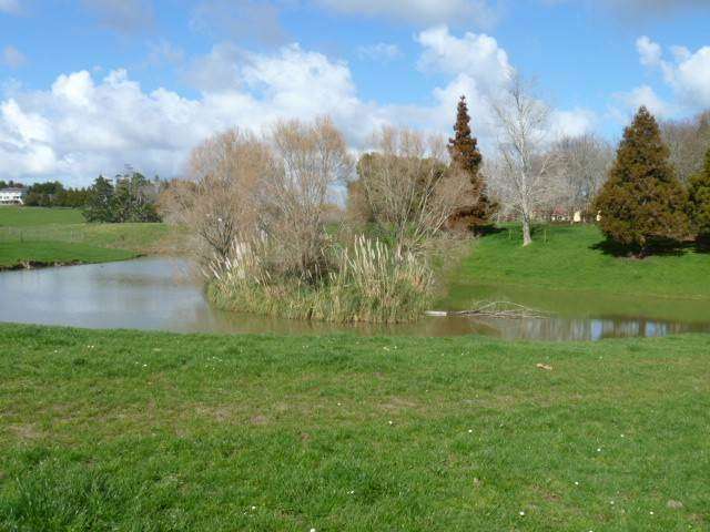 883 Runciman Road Drury_3