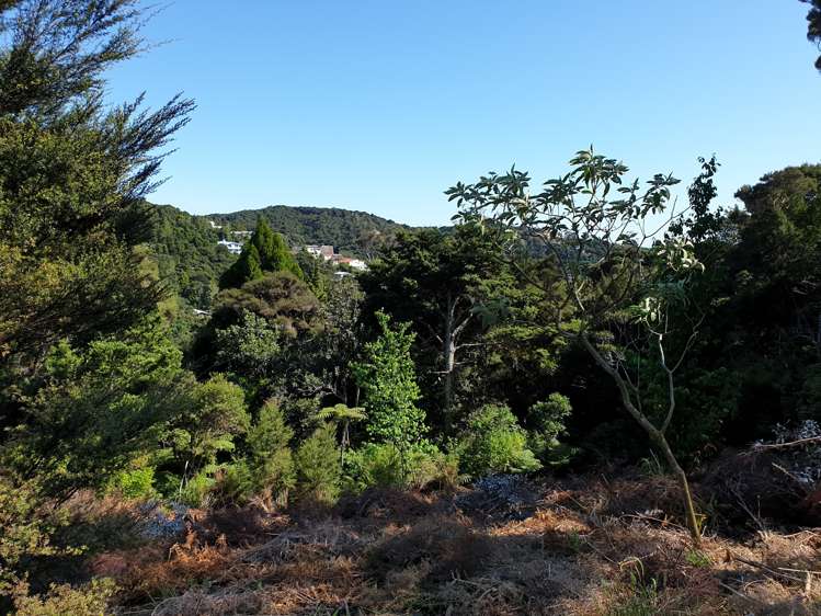 70d School Road Paihia_1