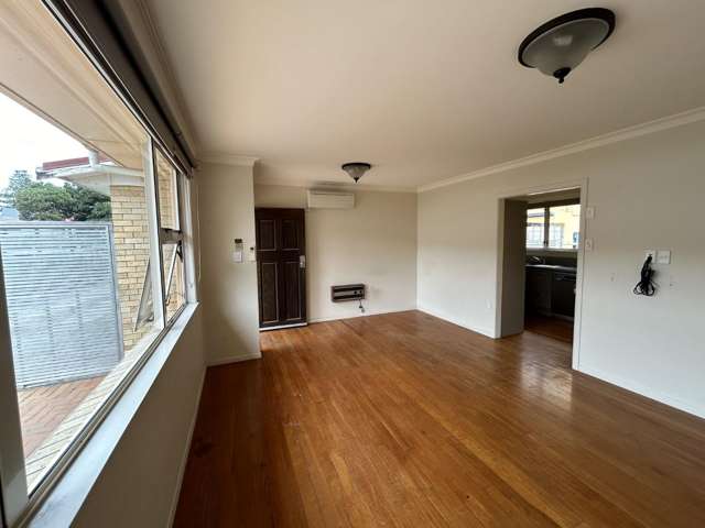 22B Maunganui Road 11229_1