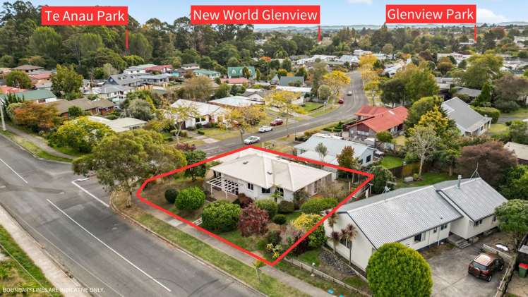 53 Splitt Avenue Glenview_29