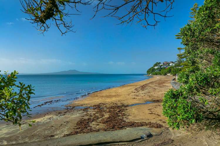 1/330 Beach Road Campbells Bay_49