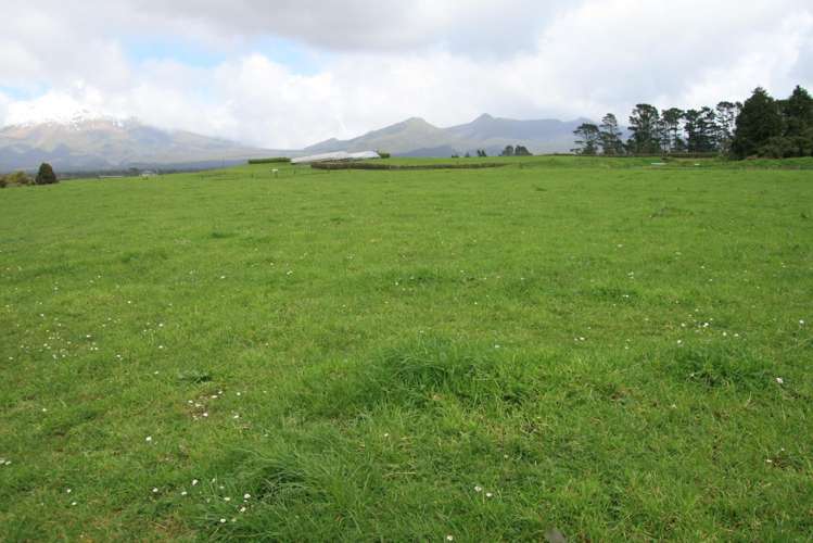 1996 Egmont Road Inglewood_2