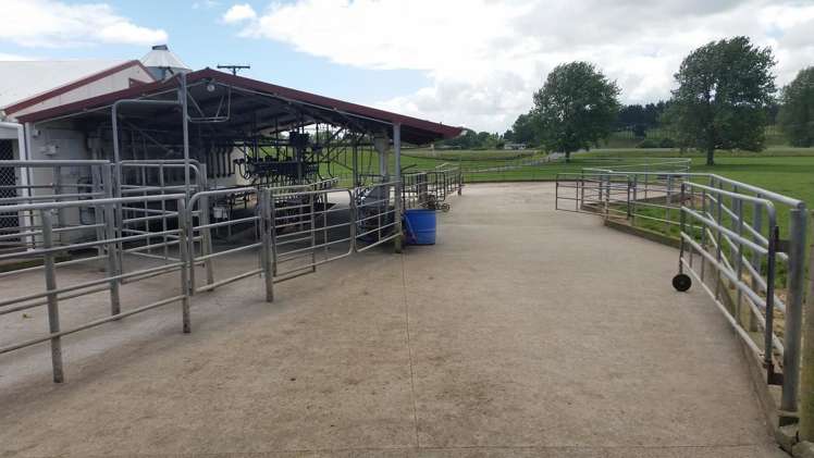 851 Hutchinson Road Morrinsville_5