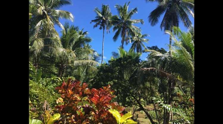 Address withheld Savusavu_34