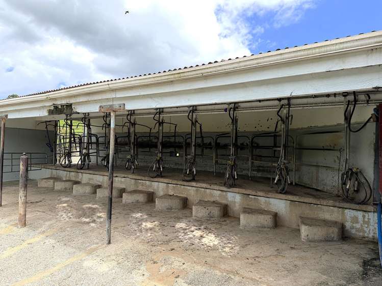 7046 State Highway 12 Waimamaku_21