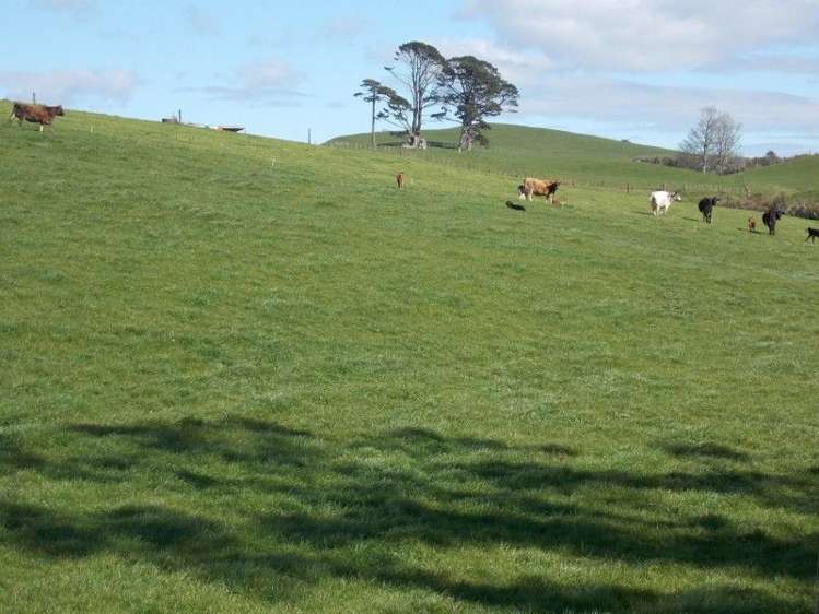 222 Lincoln Road Inglewood_7