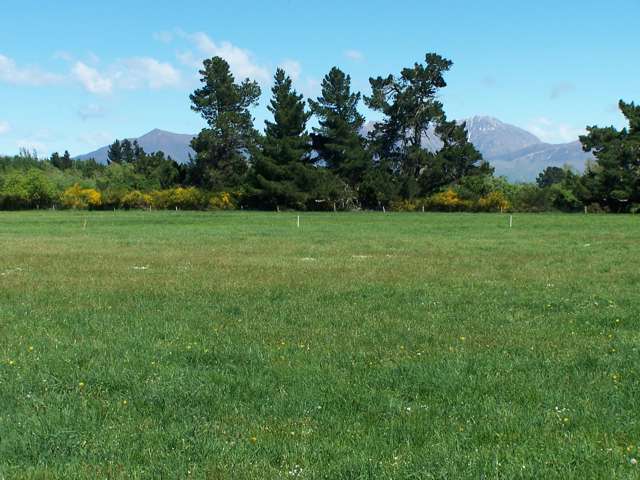 Arundel Rakaia Gorge Road Ashburton_3