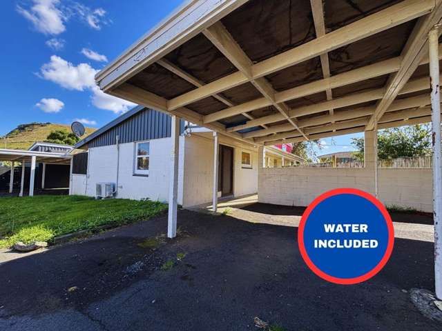 Heart of Panmure/Private Backyard/Move In Ready!