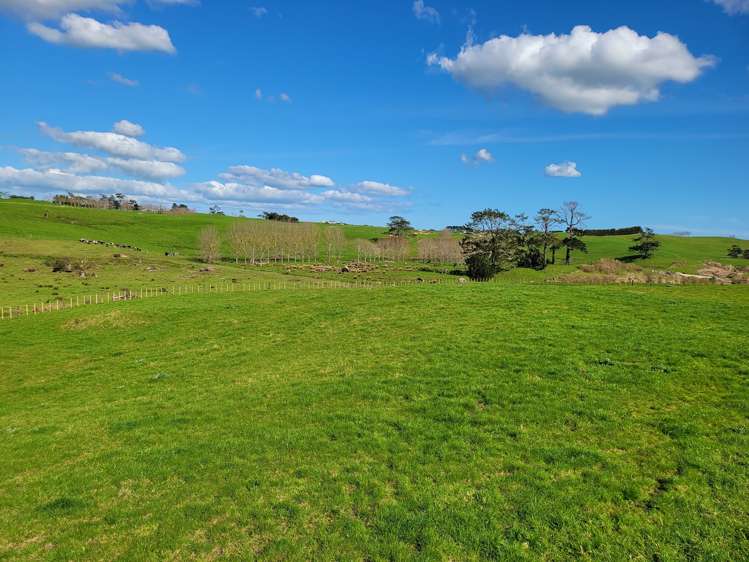 Lot 1 110 Colville Road Dargaville_13