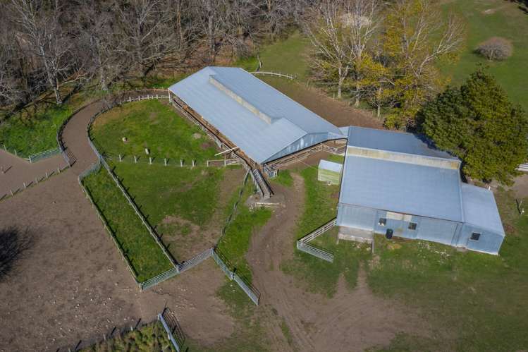 387 Eggleston Road Cheviot_14