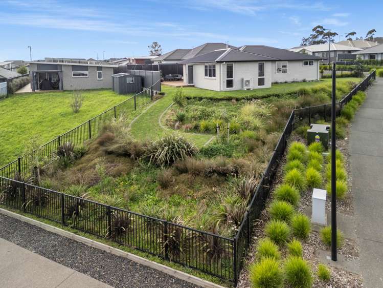 43 Pioneer Crescent Omokoroa_19