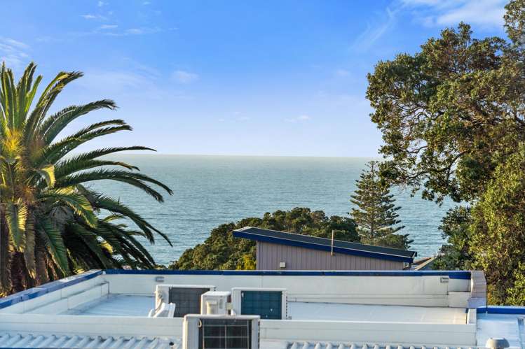 3/4 Jutland Road Hauraki_13