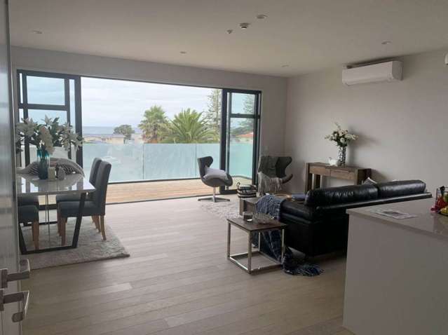 B22/388 Hibiscus Coast Highway Orewa_2